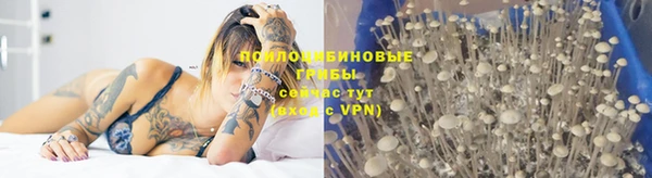 мдма Богородицк