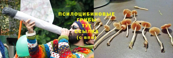 мдма Богородицк