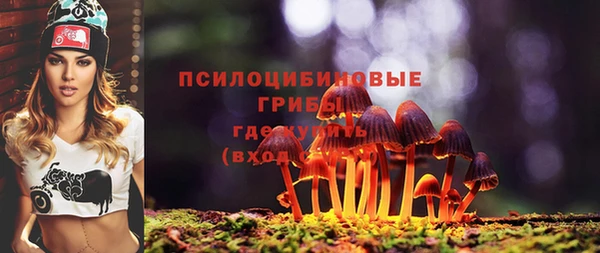 мдма Богородицк