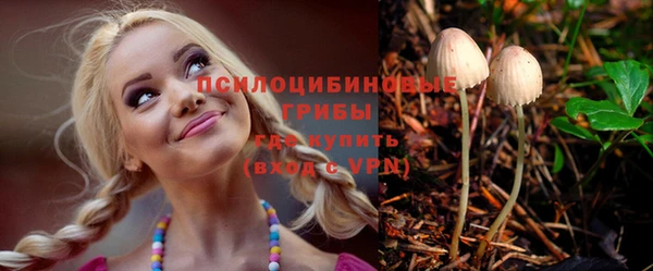 мдма Богородицк