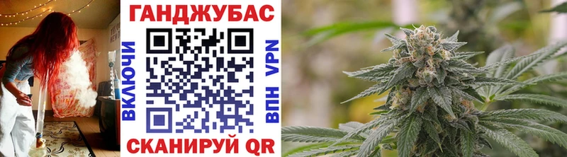 Бошки марихуана гибрид  Купить закладки  Чекалин 